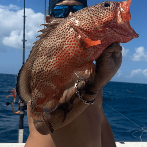 Person holding a red-speckled fish on a boat, with ocean and fishing rods in background.