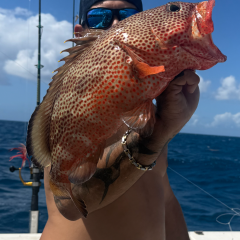 Person holding a large fish on a boat with ocean in background.