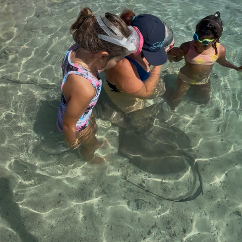 People standing in shallow clear water at a beach, looking down.