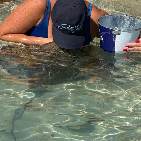Person wearing cap leans over clear water with a bucket nearby.